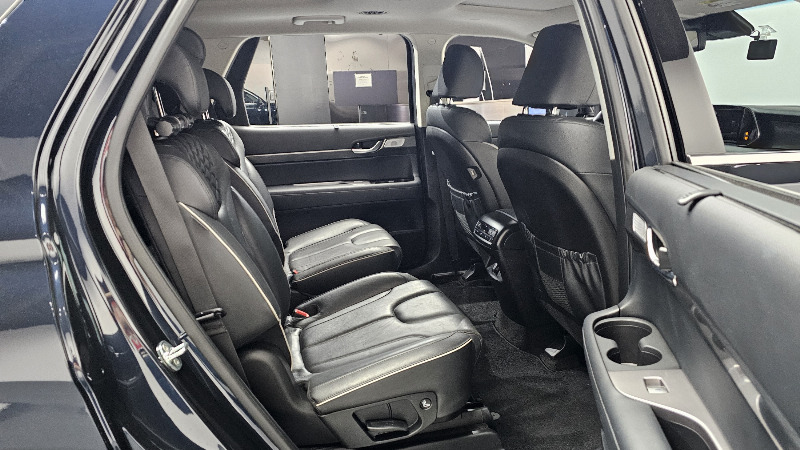 car Hyundai Palisade id36264 photo #11