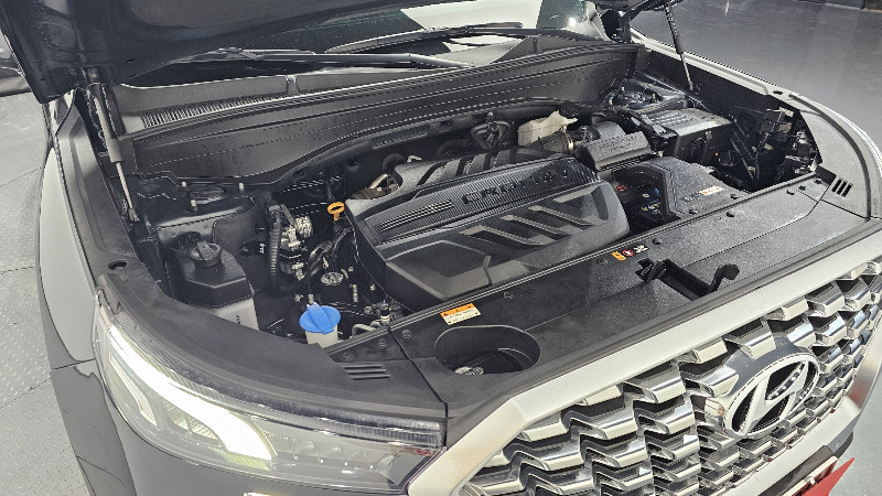 car Hyundai Palisade id36264 photo #6