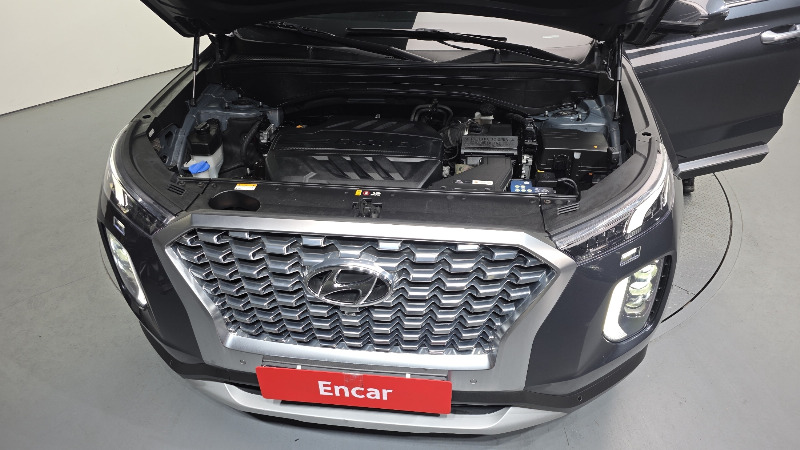 car Hyundai Palisade id38218 photo #6