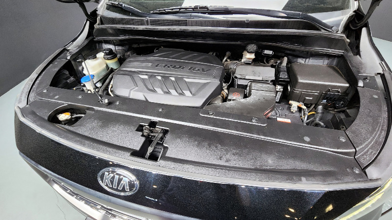 car KIA Carnival id38308 photo #6