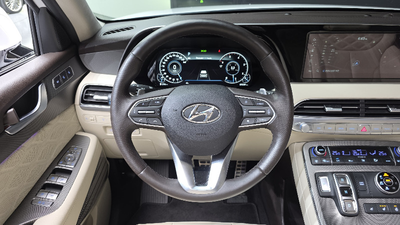 car Hyundai Palisade id38976 photo #13