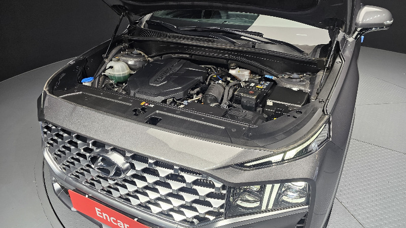 car Hyundai Santa FE id38984 photo #6
