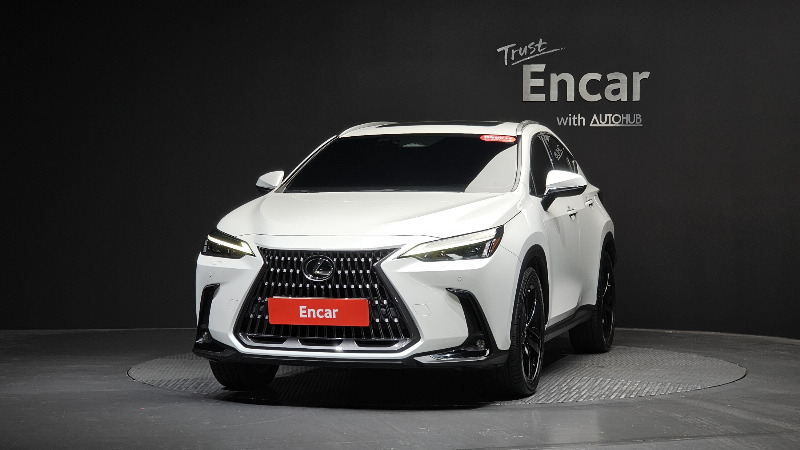 car Lexus NX id42637 photo #3