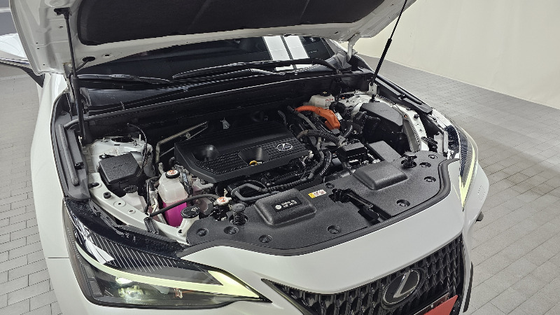 car Lexus NX id42637 photo #6