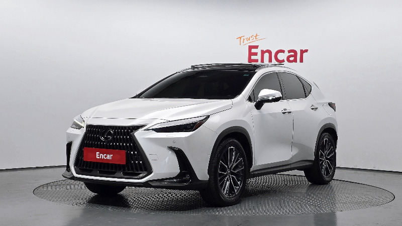 car Lexus NX id43140 main photo