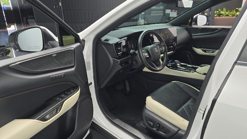 car Lexus NX id43140 photo #10