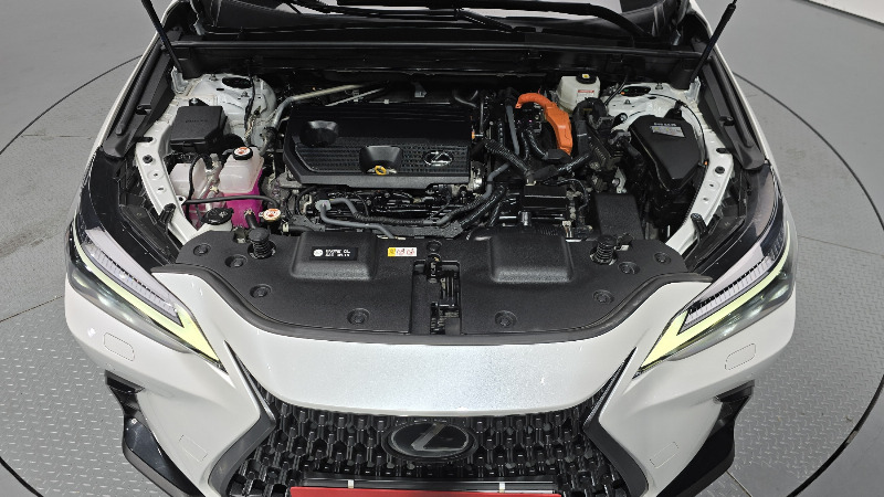 car Lexus NX id43140 photo #6