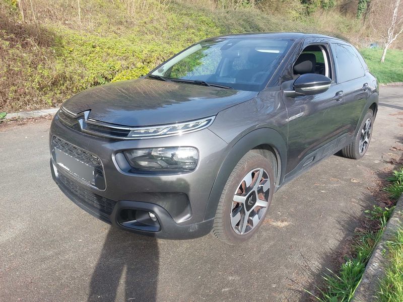 car Citroën C4 Cactus id45725 photo #6