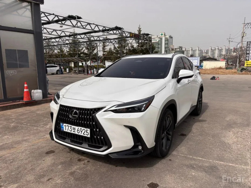 car Lexus NX id46281 main photo