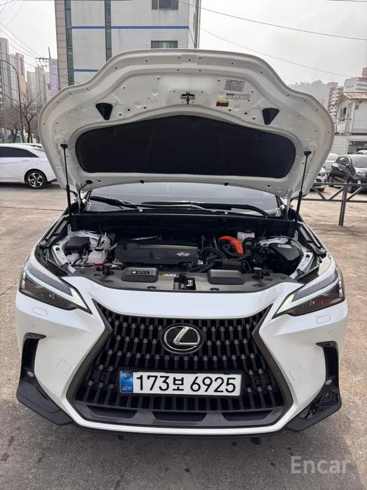 car Lexus NX id46281 photo #5