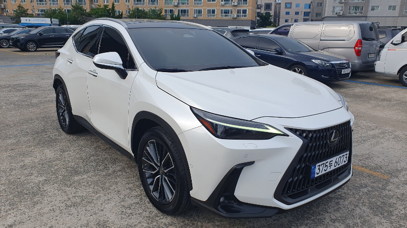 car Lexus NX id46404 main photo
