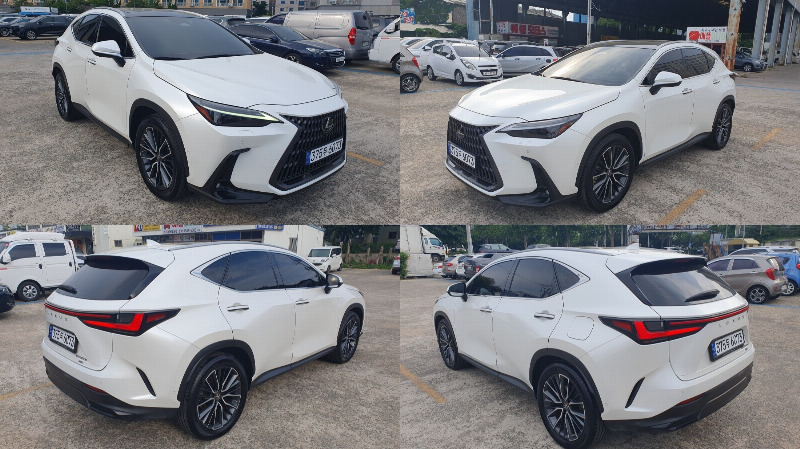 car Lexus NX id46404 photo #15