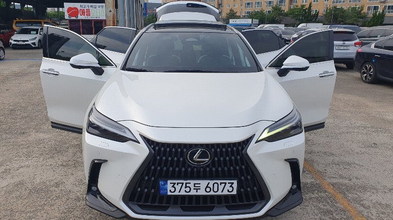 car Lexus NX id46404 photo #8