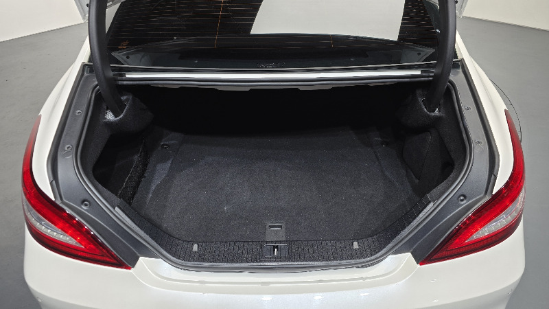 car Mercedes Benz CLS Class id46442 photo #18