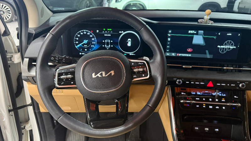 car KIA Carnival id51201 photo #17