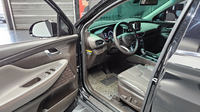 car Hyundai Santa FE id51587 photo #10