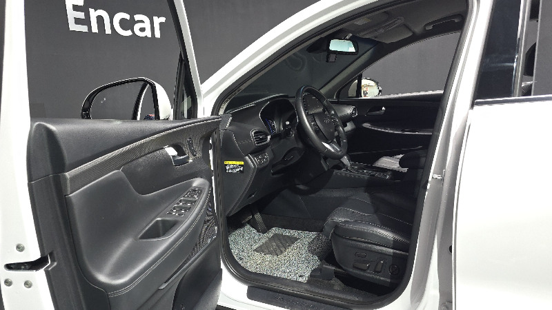 car Hyundai Santa FE id51621 photo #10