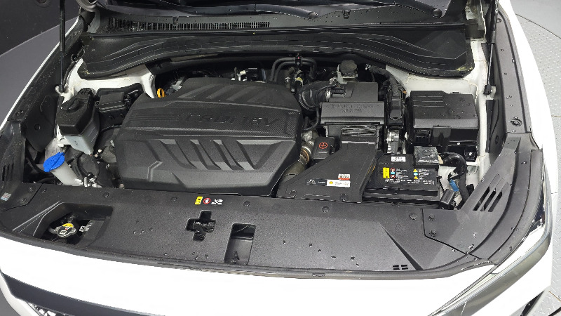 car Hyundai Santa FE id51621 photo #6