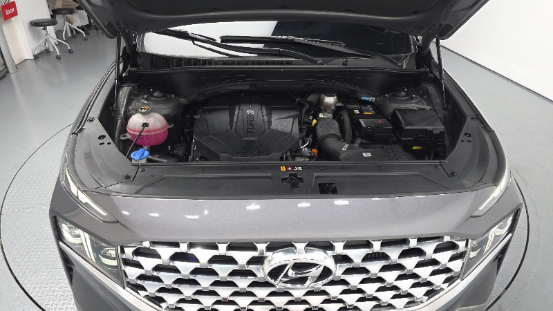 car Hyundai Santa FE id51664 photo #6