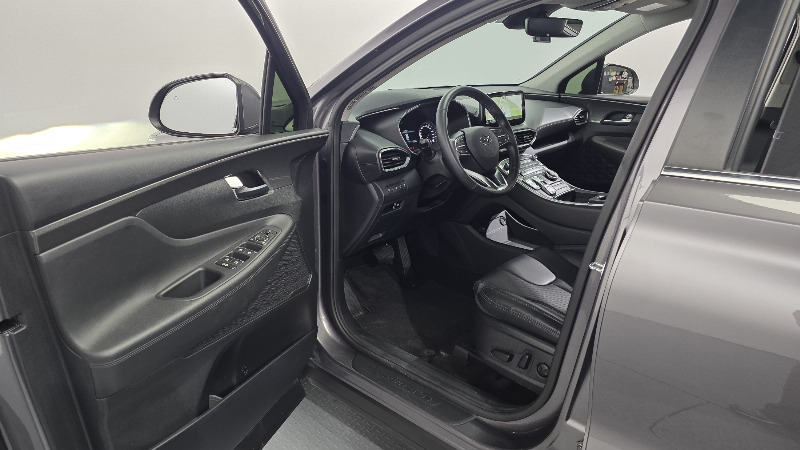 car Hyundai Santa FE id51670 photo #10