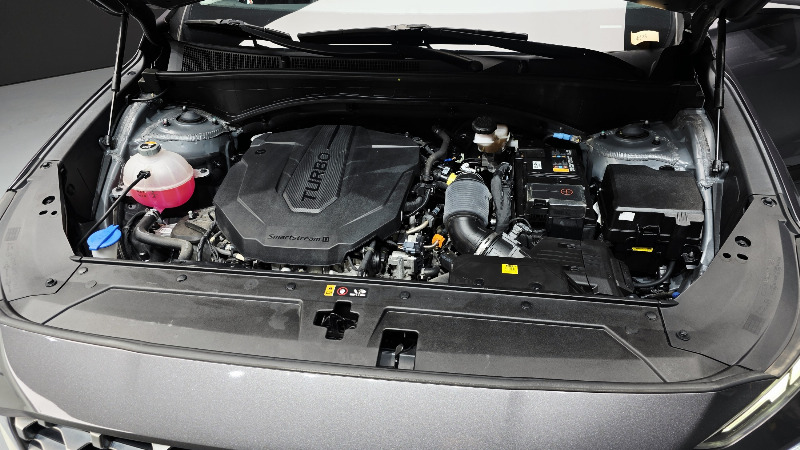 car Hyundai Santa FE id51676 photo #6