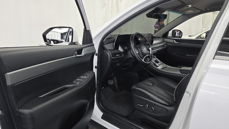 car Hyundai Palisade id52265 photo #10