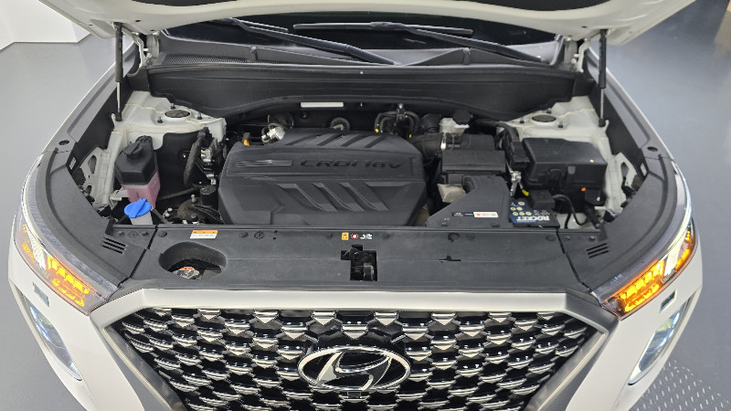 car Hyundai Palisade id52275 photo #6