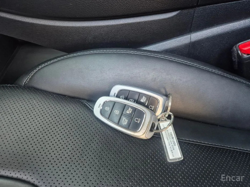 car Hyundai Santa FE id52802 photo #14