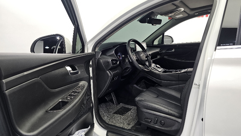 car Hyundai Santa FE id52809 photo #10