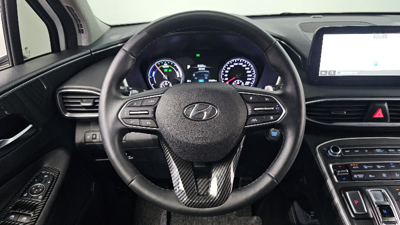 car Hyundai Santa FE id52809 photo #14