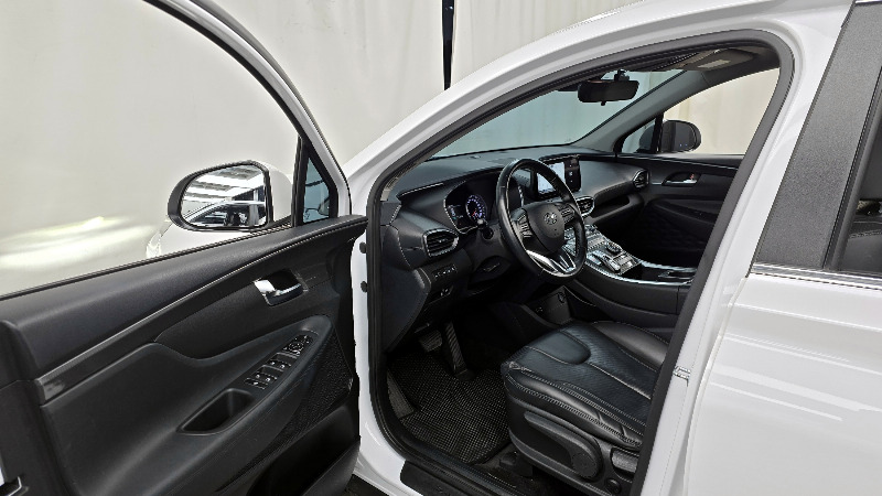 car Hyundai Santa FE id52821 photo #10