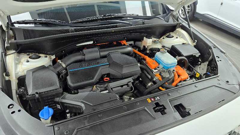 car Hyundai Santa FE id52821 photo #6
