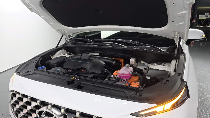 car Hyundai Santa FE id52836 photo #6
