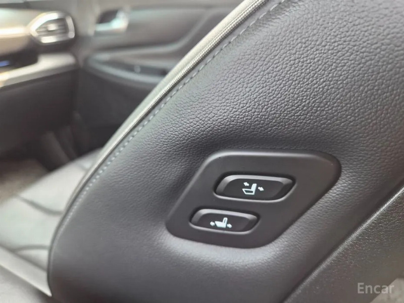 car Hyundai Santa FE id52843 photo #14