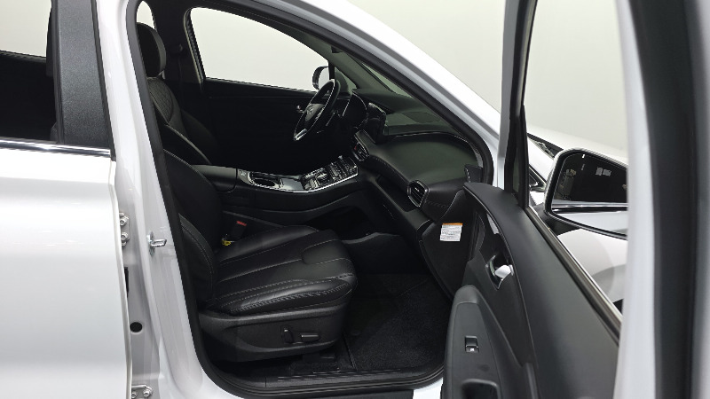 car Hyundai Santa FE id52849 photo #11
