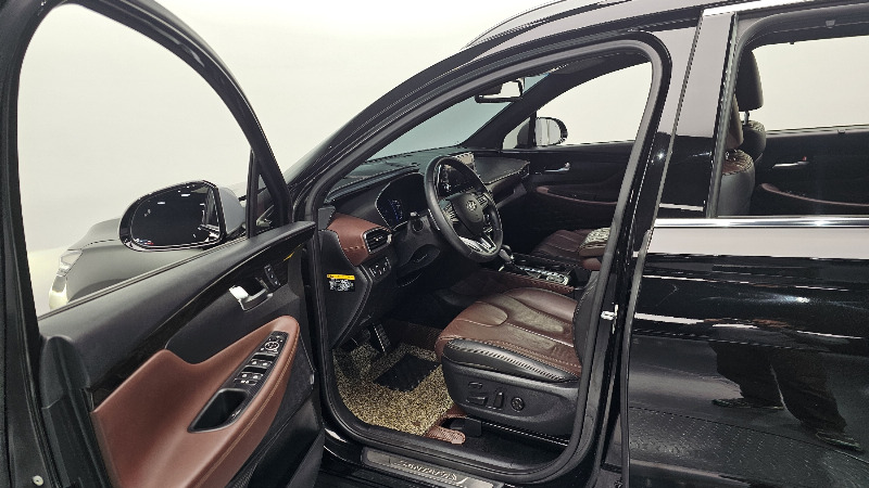car Hyundai Santa FE id52861 photo #10