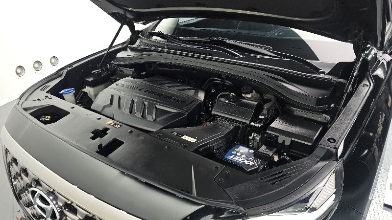 car Hyundai Santa FE id52861 photo #6