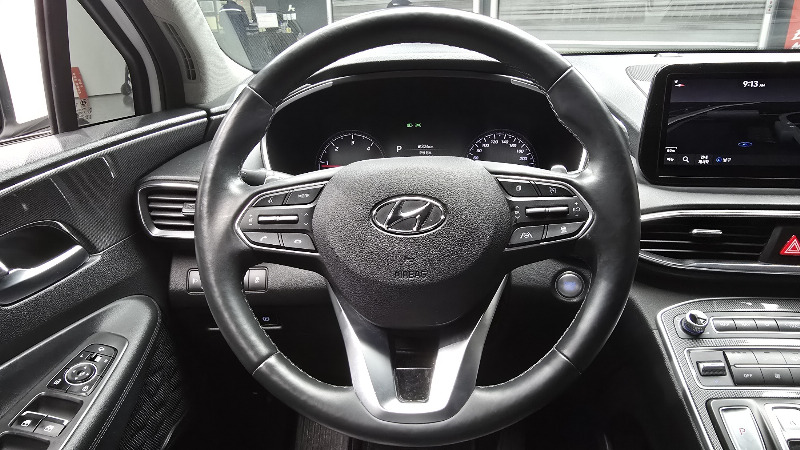 car Hyundai Santa FE id52877 photo #14