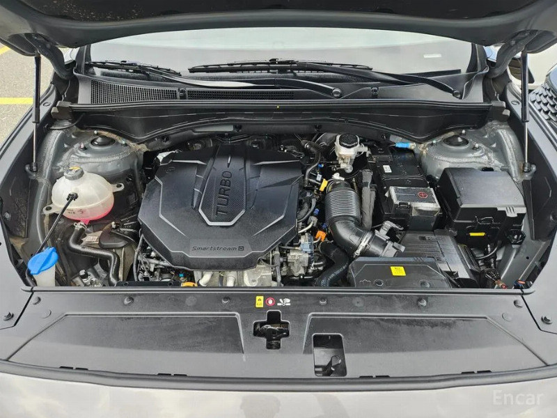 car Hyundai Santa FE id52880 photo #12