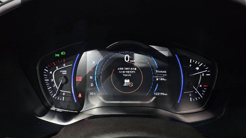 car Hyundai Santa FE id53548 photo #8