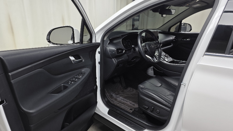 car Hyundai Santa FE id53922 photo #10