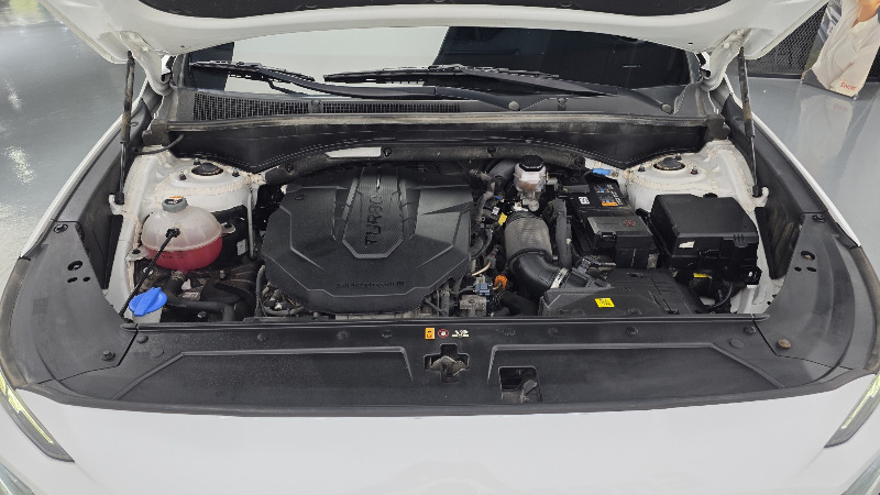 car Hyundai Santa FE id54301 photo #6