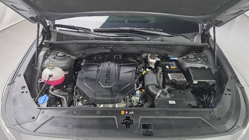 car Hyundai Santa FE id54302 photo #6