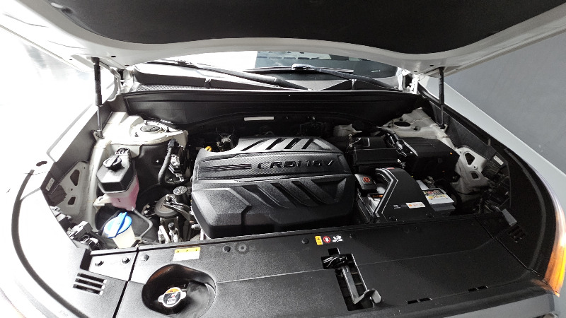 car Hyundai Palisade id54669 photo #6