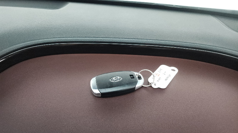 car Hyundai Santa FE id54853 photo #15