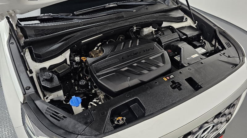 car Hyundai Santa FE id54861 photo #6