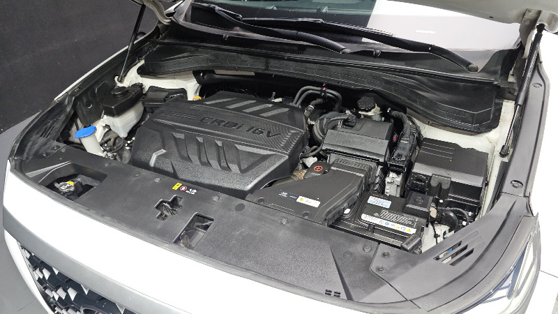 car Hyundai Santa FE id54879 photo #6