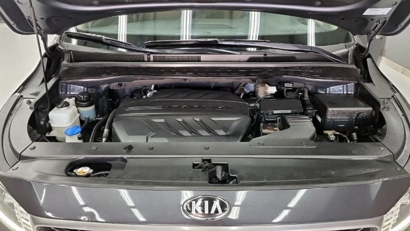car KIA Carnival id54941 photo #6