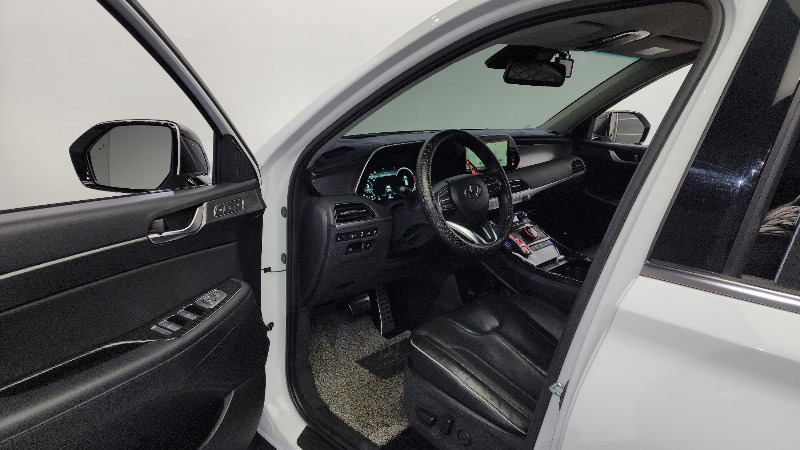 car Hyundai Palisade id55341 photo #10