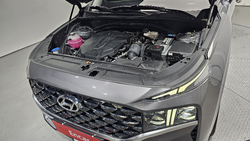 car Hyundai Santa FE id55488 photo #6